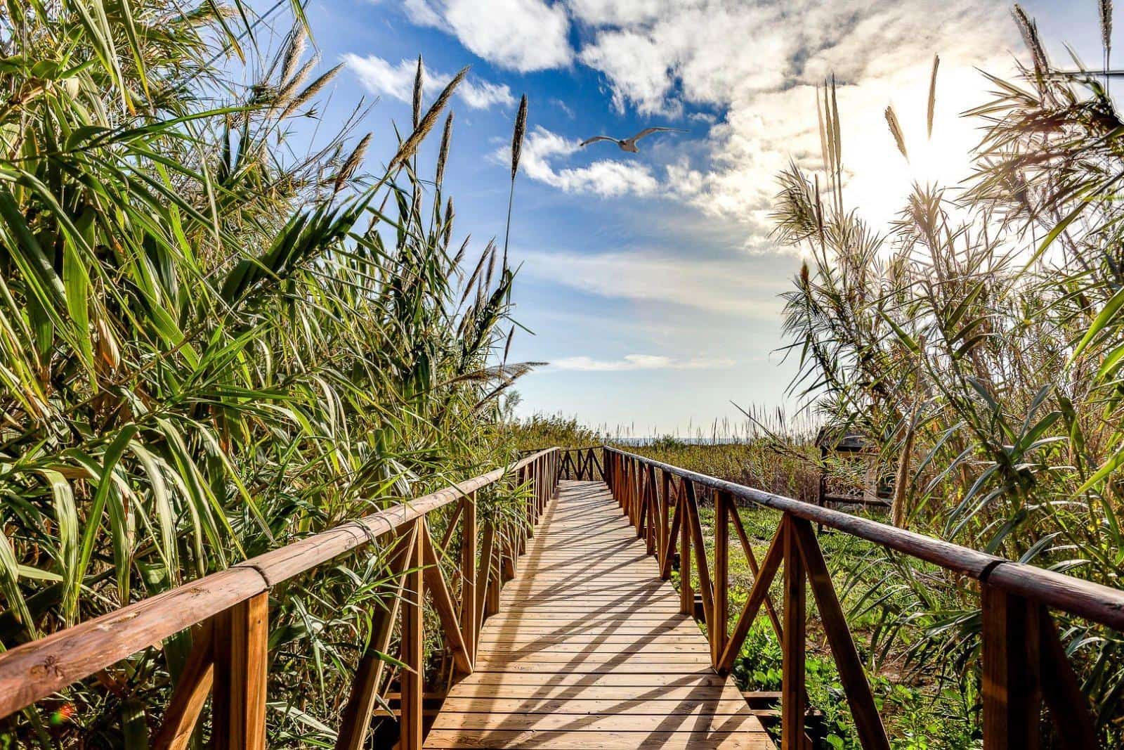 2 slaapkamer Villa te koop in San Fulgencio met zwembad - € 239.969 (Ref: 9670709)