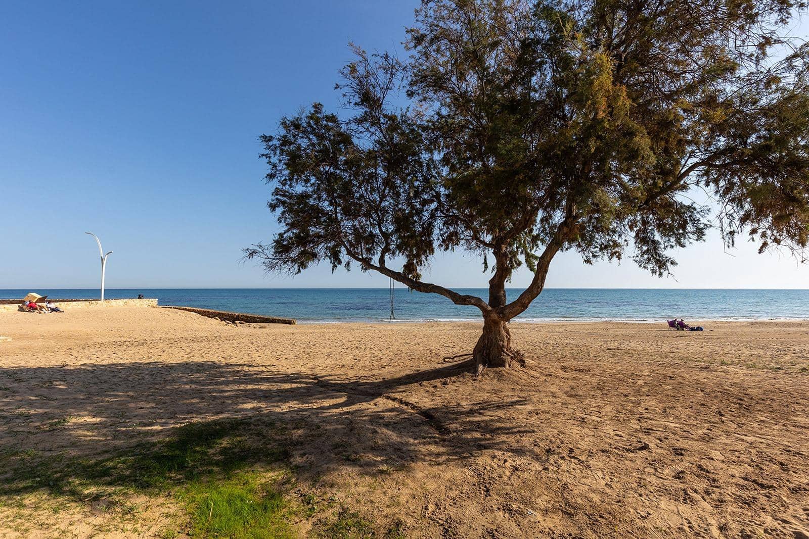 Studio for sale in La Mata with pool - € 107,260 (Ref: 9927438)