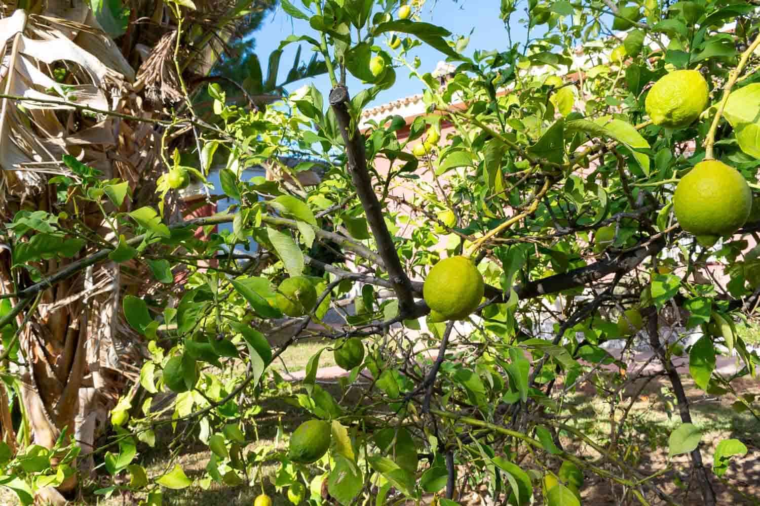 7 soveværelse Villa til salg i La Pobla de Vallbona med swimmingpool garage - € 830.000 (Ref: 8809074)