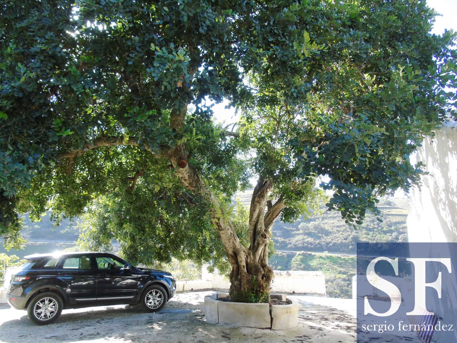 5 chambre Villa/Maison à vendre à Competa avec piscine - 470 000 € (Ref: 3310759)