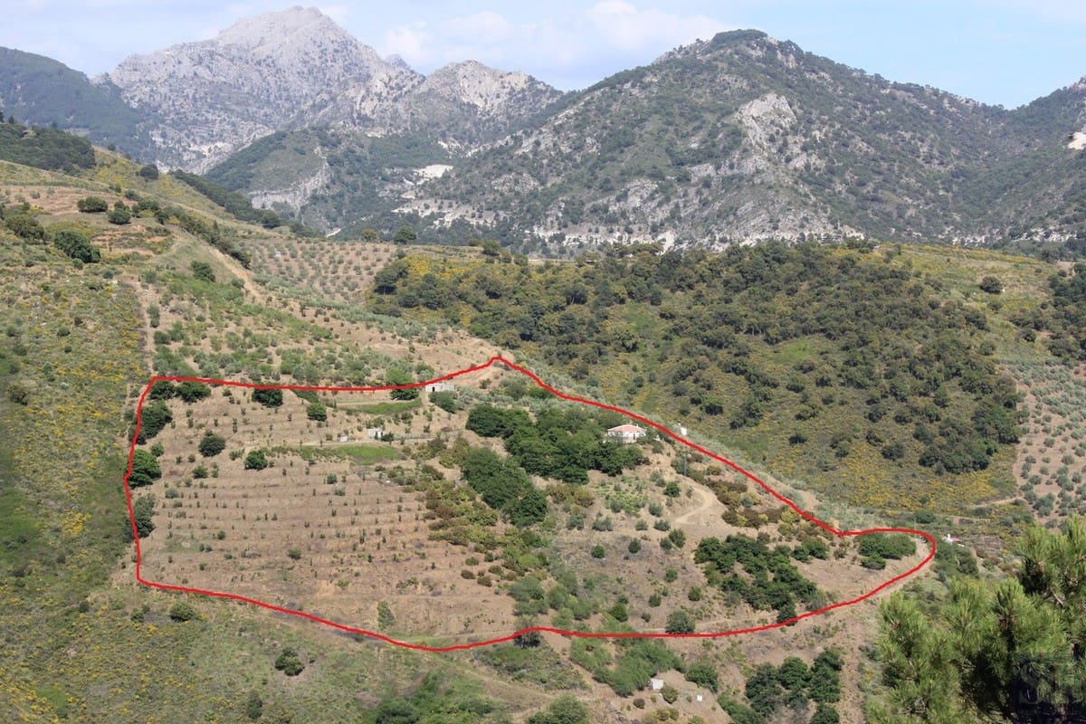 3 sypialnia Willa na sprzedaż w Canillas de Albaida - 286 000 € (Ref: 4040504)