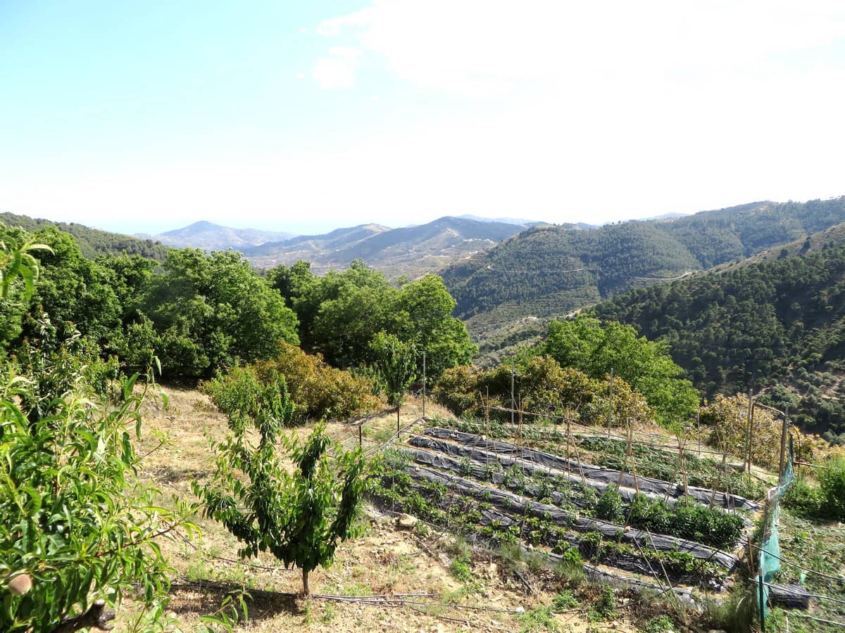 3 sypialnia Willa na sprzedaż w Canillas de Albaida - 286 000 € (Ref: 4040504)