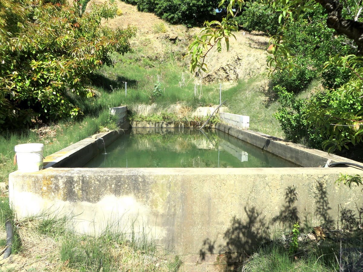 3 sypialnia Willa na sprzedaż w Canillas de Albaida - 286 000 € (Ref: 4040504)