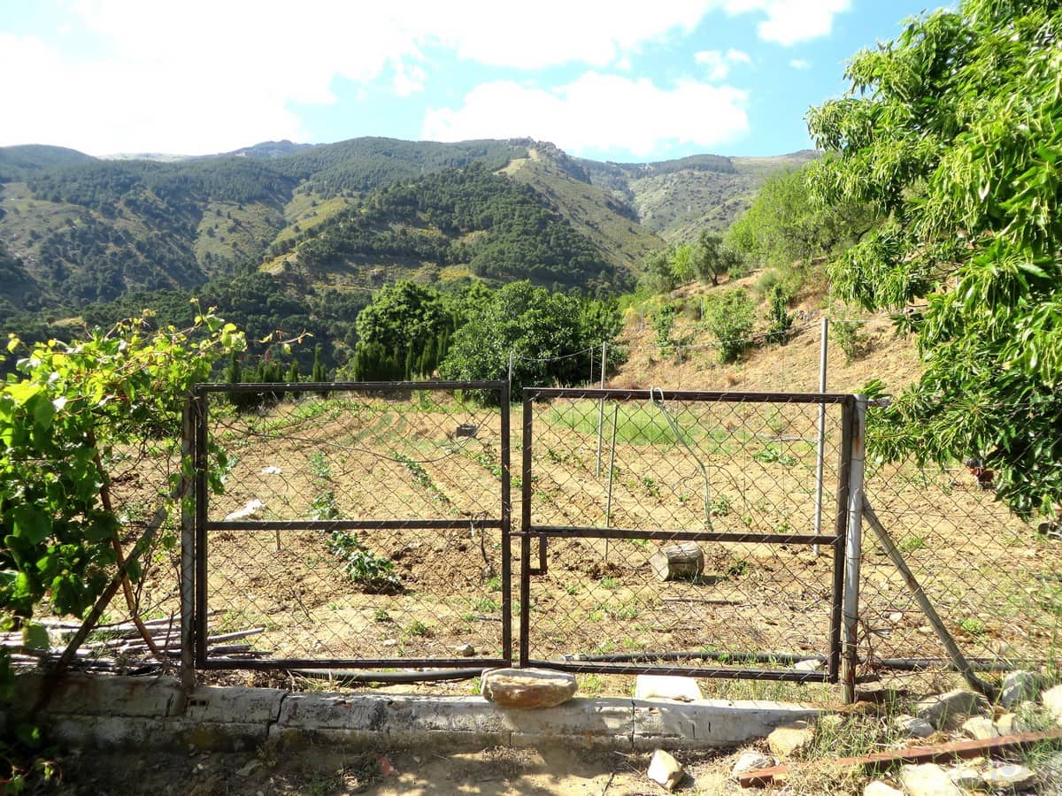 3 sypialnia Willa na sprzedaż w Canillas de Albaida - 286 000 € (Ref: 4040504)