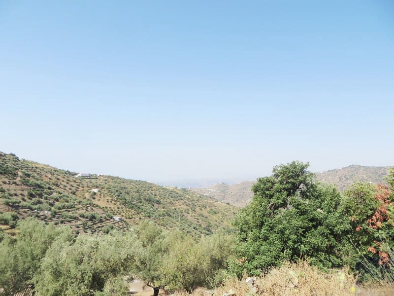 6 quarto Quinta/Casa Rural para venda em Sayalonga - 75 000 € (Ref: 4122029)