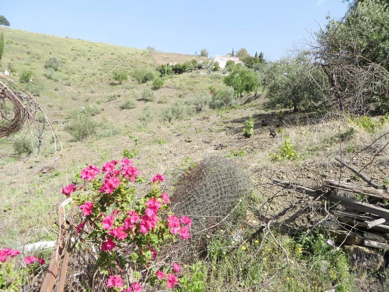 1 camera da letto Finca/Casa di Campagna in vendita in Competa - 235.000 € (Rif: 4122036)