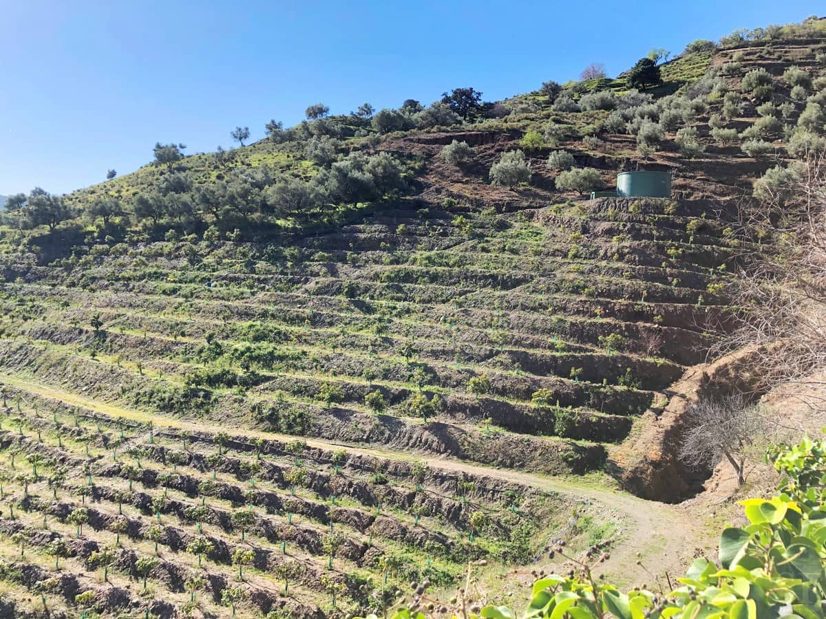 2 soverom Villa til salgs i Competa med svømmebasseng - € 450 000 (Ref: 4534825)