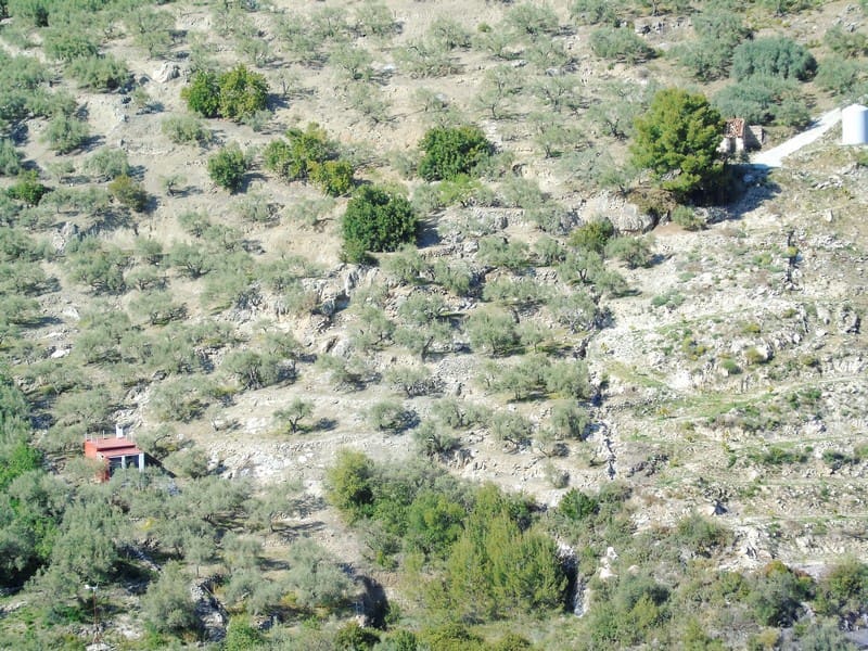 1 quarto Quinta/Casa Rural para venda em Canillas de Albaida - 36 000 € (Ref: 4534848)