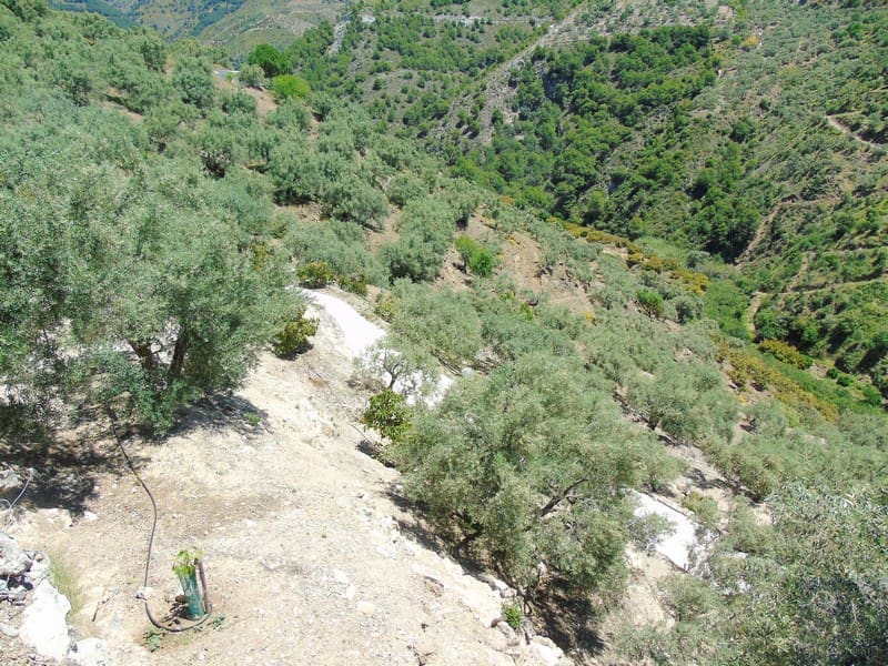 Finca/Landehus til salg i Canillas de Albaida - € 134.000 (Ref: 4616867)