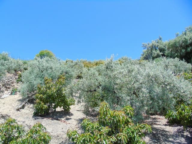 Finca/Landehus til salg i Canillas de Albaida - € 134.000 (Ref: 4616867)