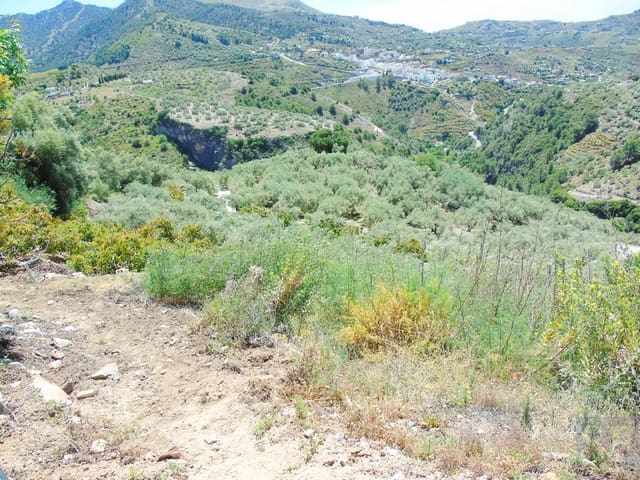 Finca/Landehus til salg i Canillas de Albaida - € 134.000 (Ref: 4616867)