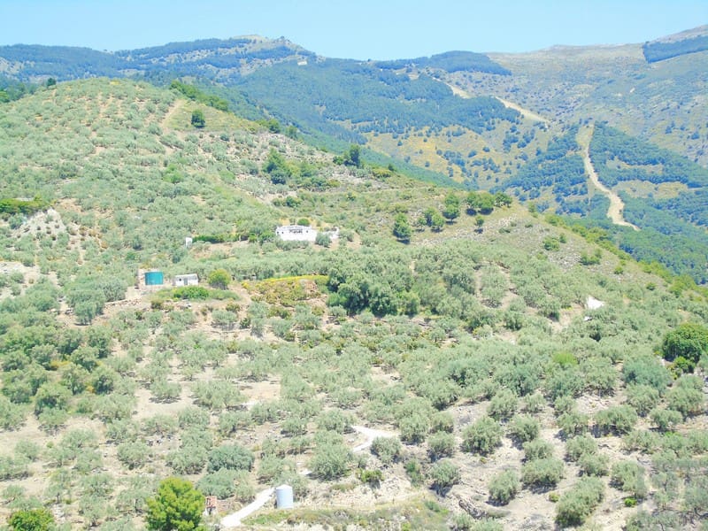 Finca/Landehus til salg i Canillas de Albaida - € 134.000 (Ref: 4616867)
