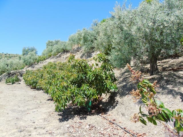 Finca/Landehus til salg i Canillas de Albaida - € 134.000 (Ref: 4616867)