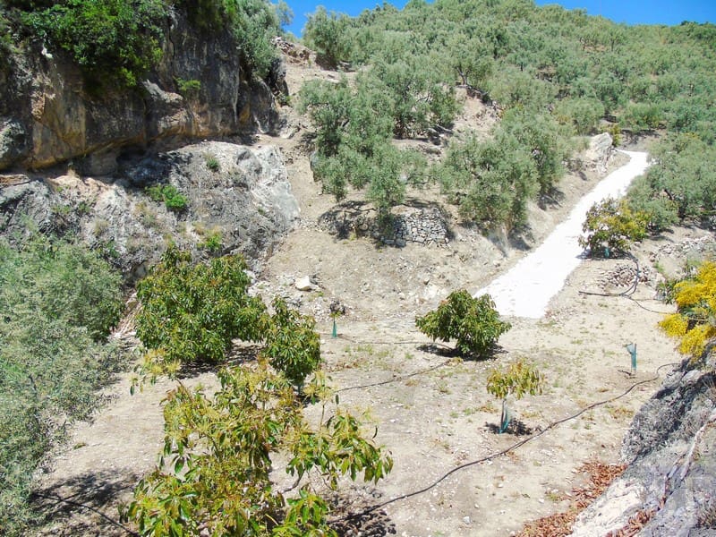 Finca/Landehus til salg i Canillas de Albaida - € 134.000 (Ref: 4616867)