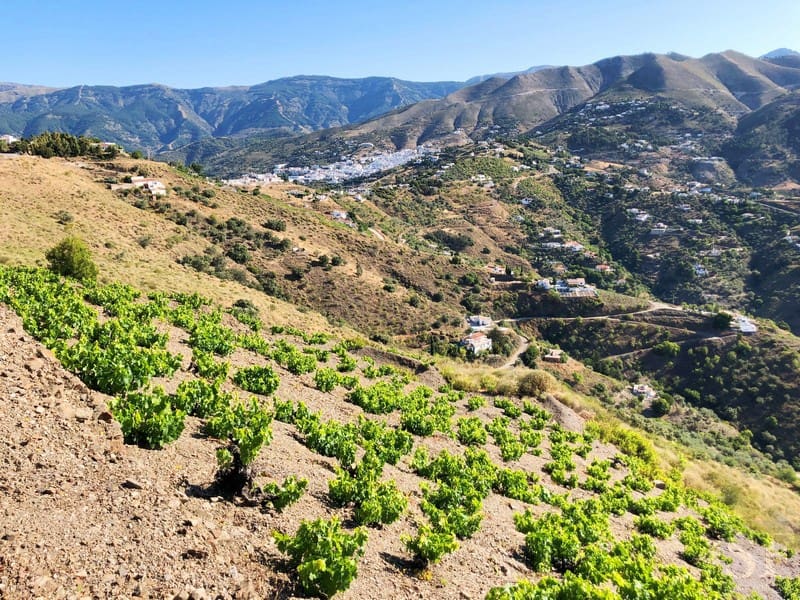 Grunde uden byggetilladelser til salg i Competa - € 229.000 (Ref: 4651460)