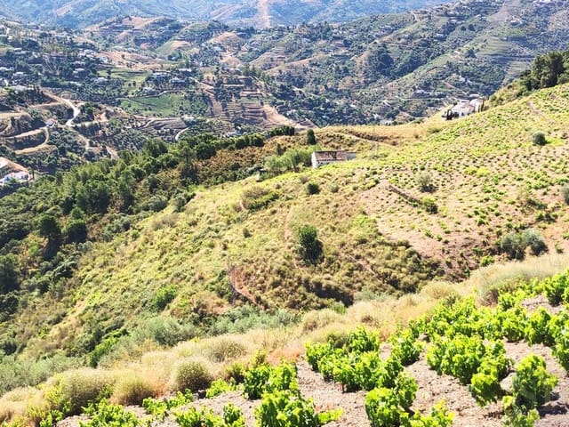 Mark till salu i Cómpeta - 229 000 € (Ref: 4651460)