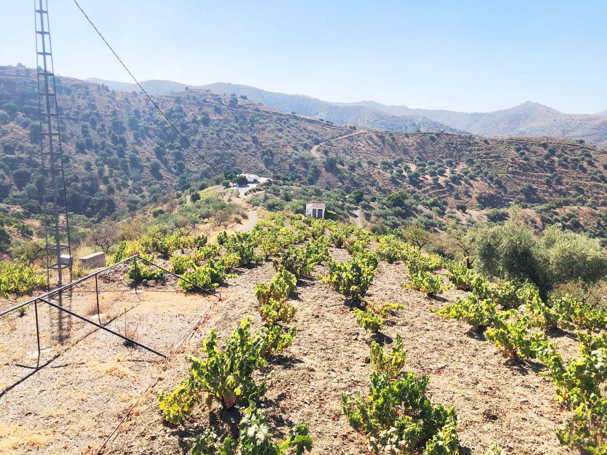 Grunde uden byggetilladelser til salg i Sedella - € 95.000 (Ref: 5566854)