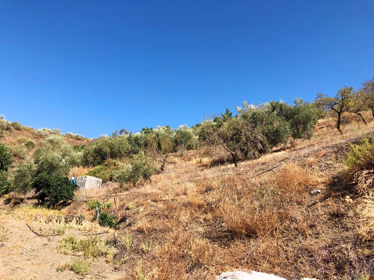 Grunde uden byggetilladelser til salg i Sedella - € 95.000 (Ref: 5566854)