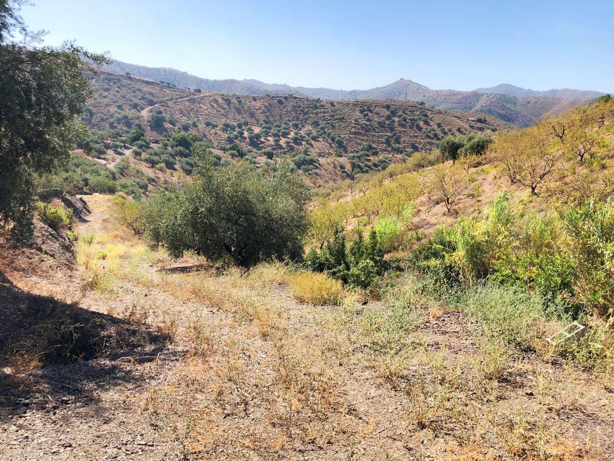 Grunde uden byggetilladelser til salg i Sedella - € 95.000 (Ref: 5566854)