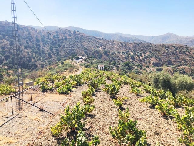 Undeveloped Land for sale in Sedella - € 95,000 (Ref: 5566854)