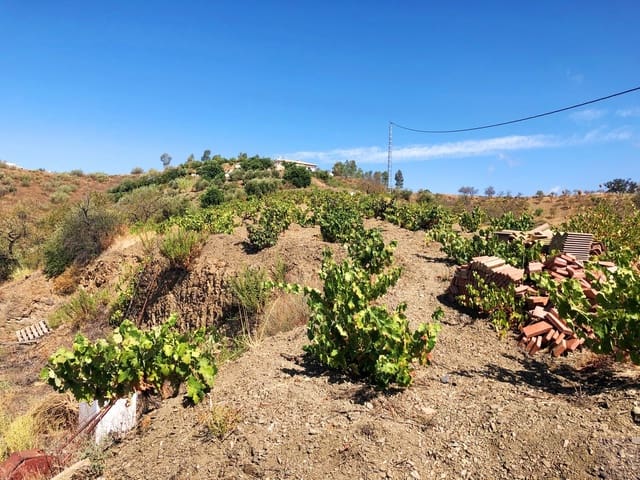 Undeveloped Land for sale in Sedella - € 95,000 (Ref: 5566854)