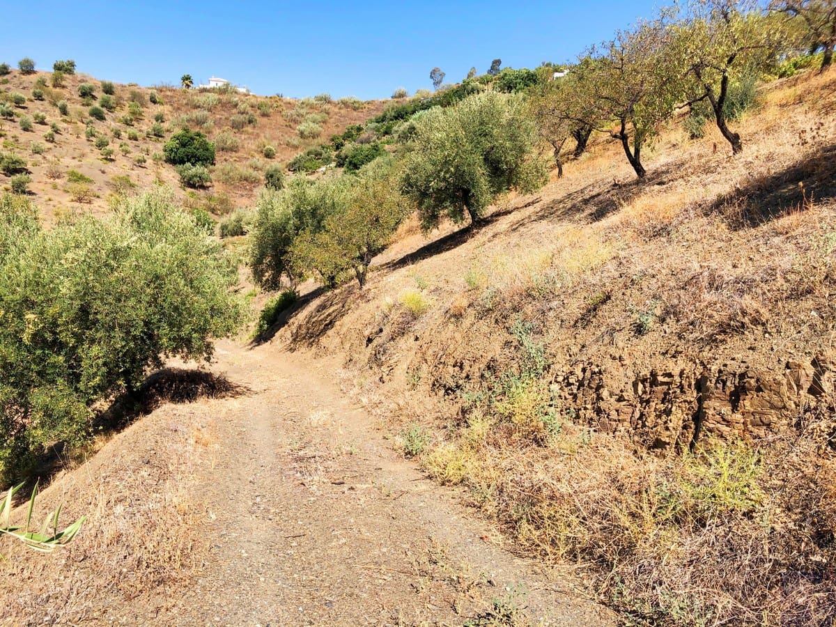 Grunde uden byggetilladelser til salg i Sedella - € 95.000 (Ref: 5566854)