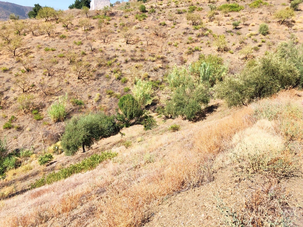 Grunde uden byggetilladelser til salg i Sedella - € 95.000 (Ref: 5566854)