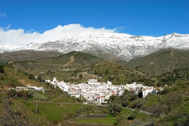 Undeveloped Land for sale in Sedella - € 40,000 (Ref: 5566856)