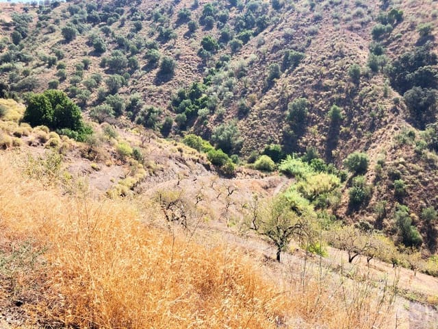 Undeveloped Land for sale in Sedella - € 40,000 (Ref: 5566856)