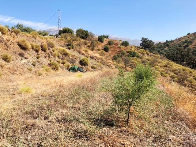 Undeveloped Land for sale in Sedella - € 40,000 (Ref: 5566856)