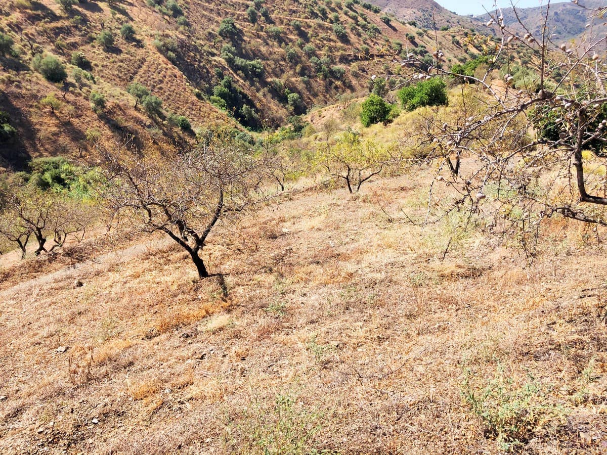 Terreno/Finca Rústica en Sedella en venta - 40.000 € (Ref: 5566856)