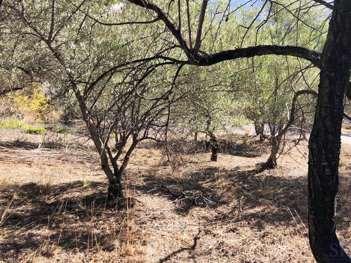 3 soveværelse Villa til salg i Archez - € 82.000 (Ref: 5686818)