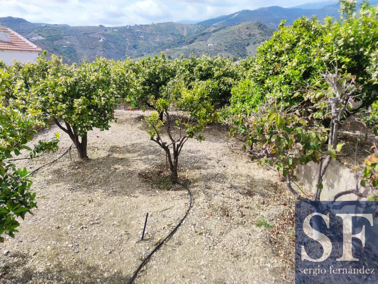 4 soverom Hus til salgs i Canillas de Albaida med svømmebasseng garasje - € 349 000 (Ref: 6039858)