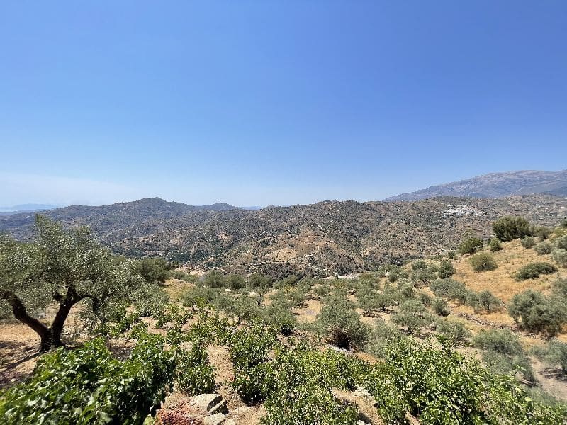 4 sypialnia Willa na sprzedaż w Sayalonga - 185 000 € (Ref: 7035778)