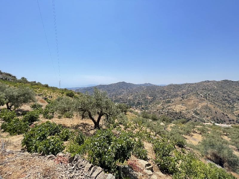 4 sypialnia Willa na sprzedaż w Sayalonga - 185 000 € (Ref: 7035778)