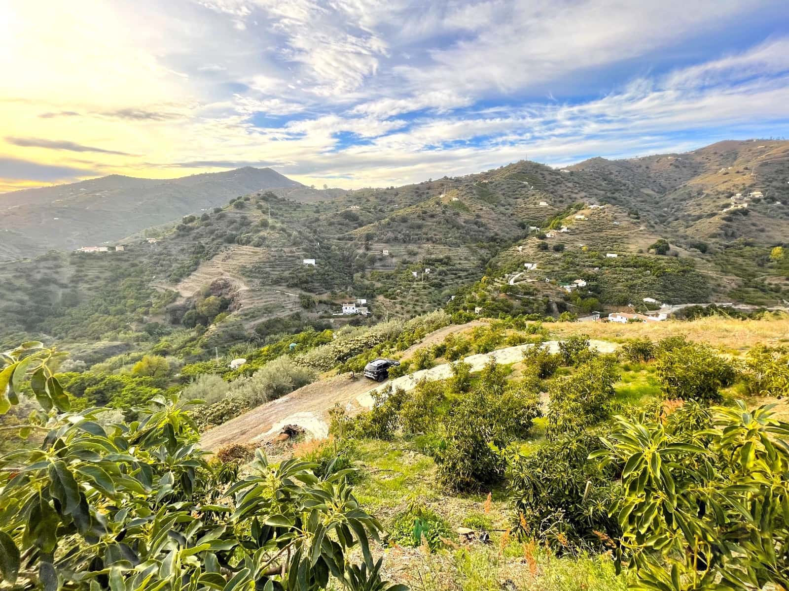 Finca/Hus på landet till salu i Sayalonga - 169 000 € (Ref: 7991711)