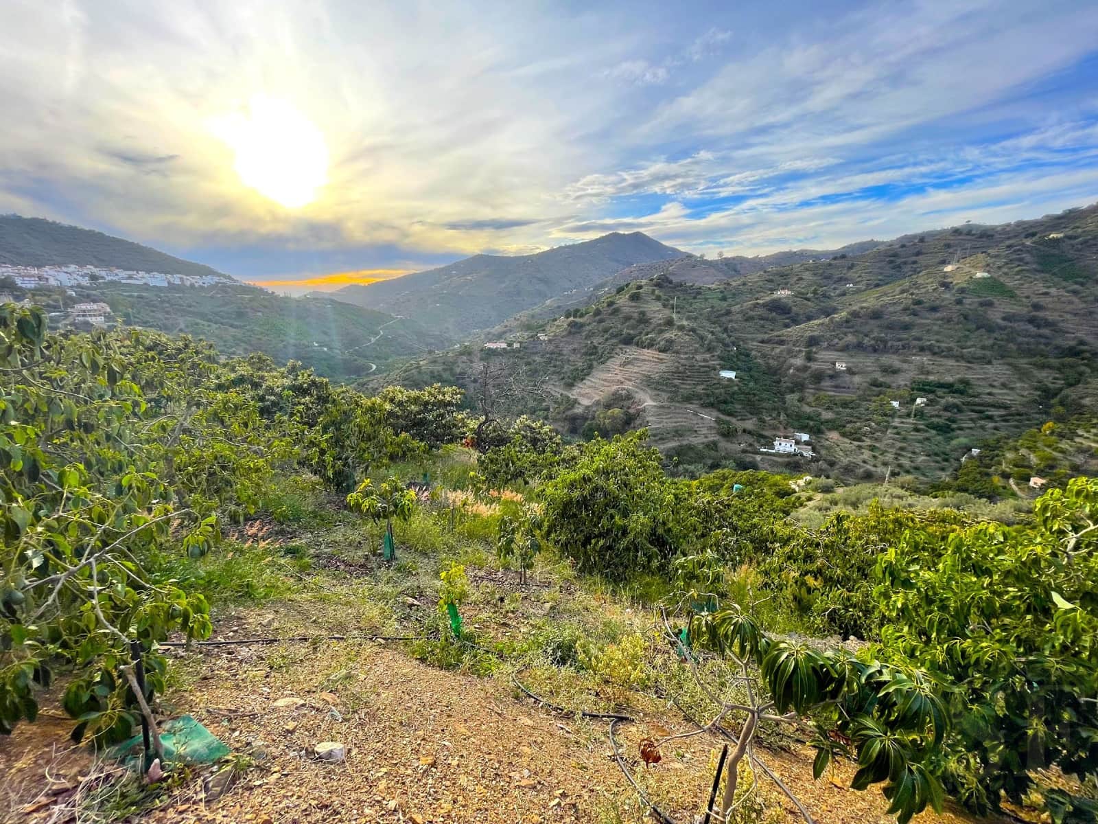 Finca/Hus på landet till salu i Sayalonga - 169 000 € (Ref: 7991711)