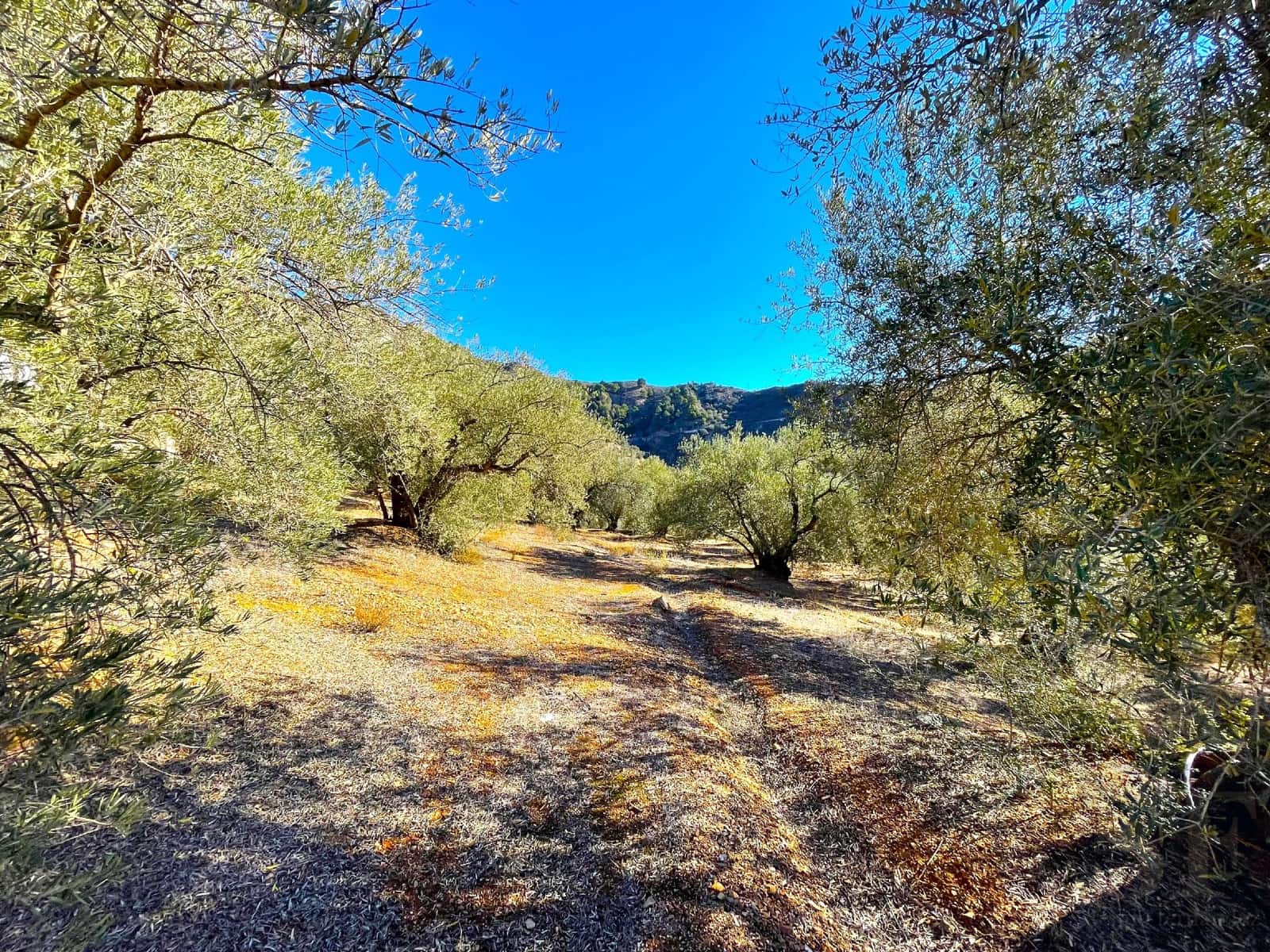 1 soverom Villa til salgs i Canillas de Aceituno - € 270 000 (Ref: 8062192)