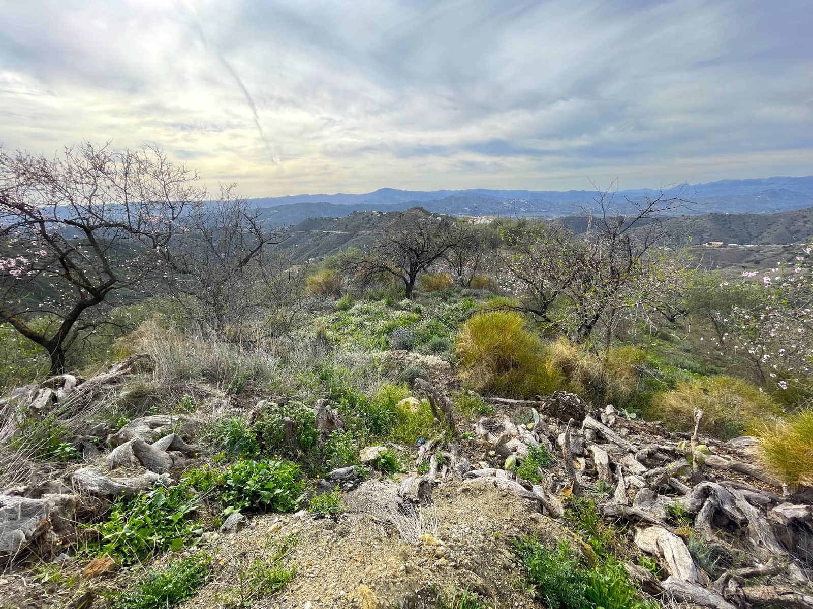 1 soverom Finca/Herregård til salgs i Canillas de Aceituno - € 114 000 (Ref: 8277677)