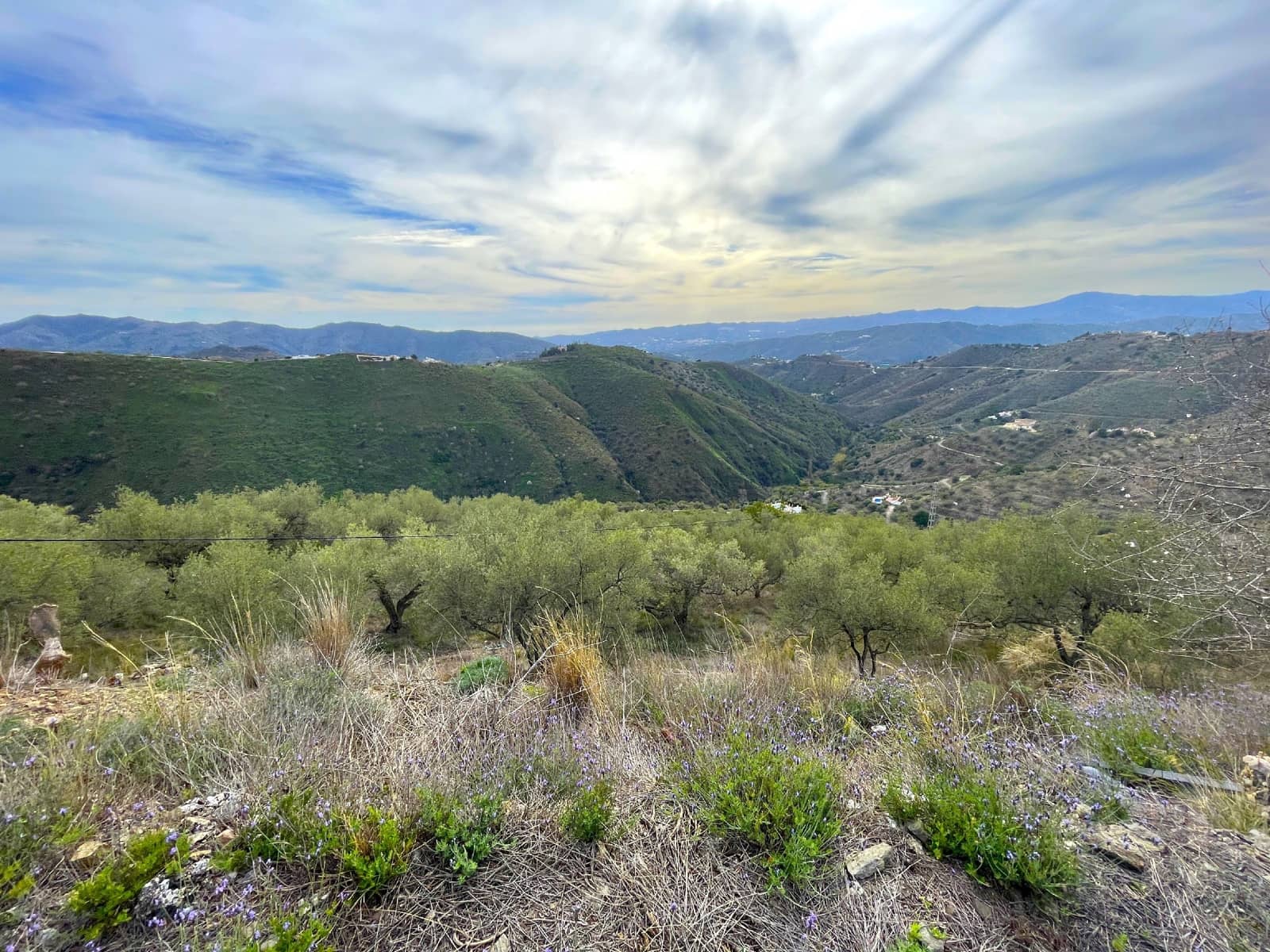 1 soverom Finca/Herregård til salgs i Canillas de Aceituno - € 114 000 (Ref: 8277677)