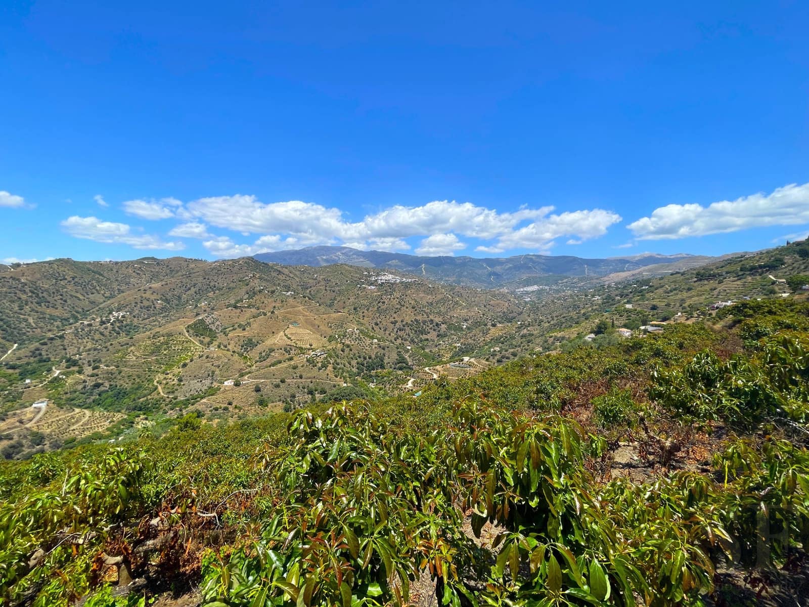 2 soveværelse Villa til salg i Sayalonga med swimmingpool - € 725.000 (Ref: 8427898)