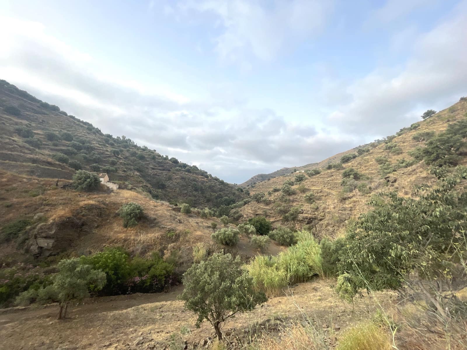 2 soveværelse Villa til salg i Sayalonga - € 180.000 (Ref: 8477232)