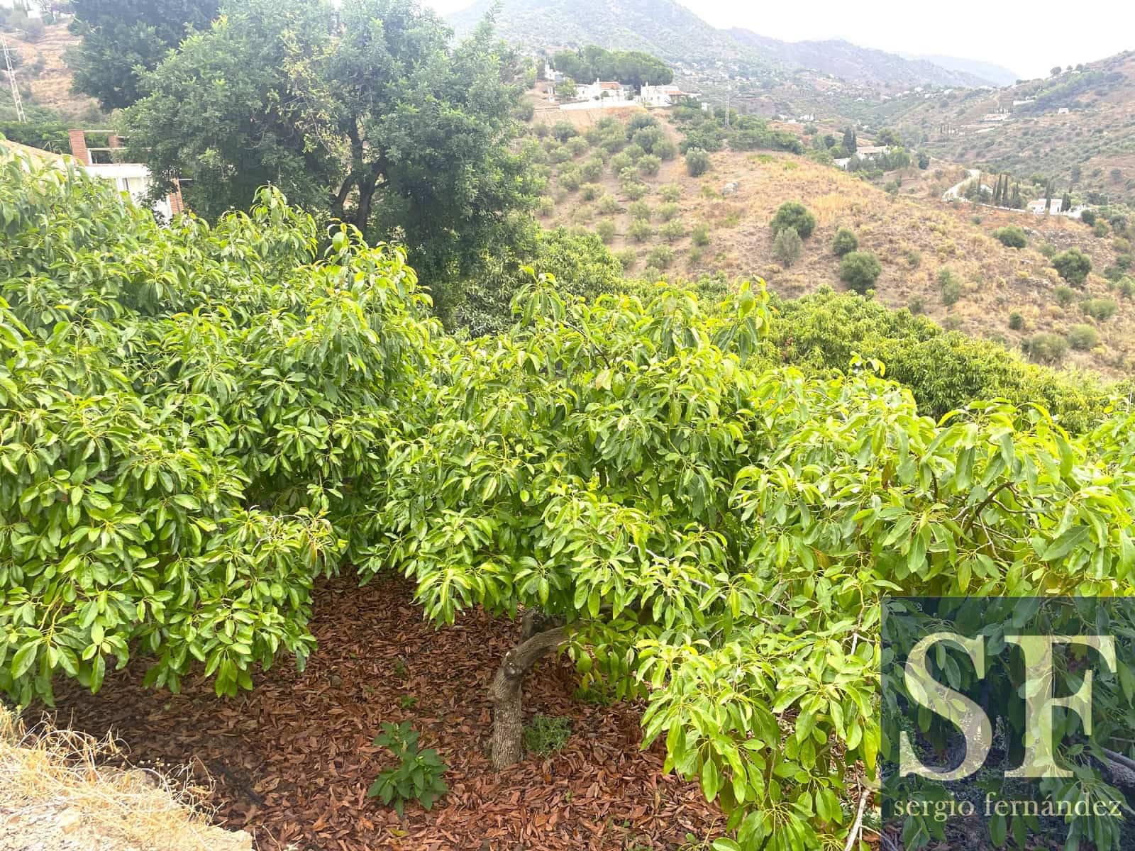 4 sypialnia Willa na sprzedaż w Competa z garażem - 495 000 € (Ref: 8553489)