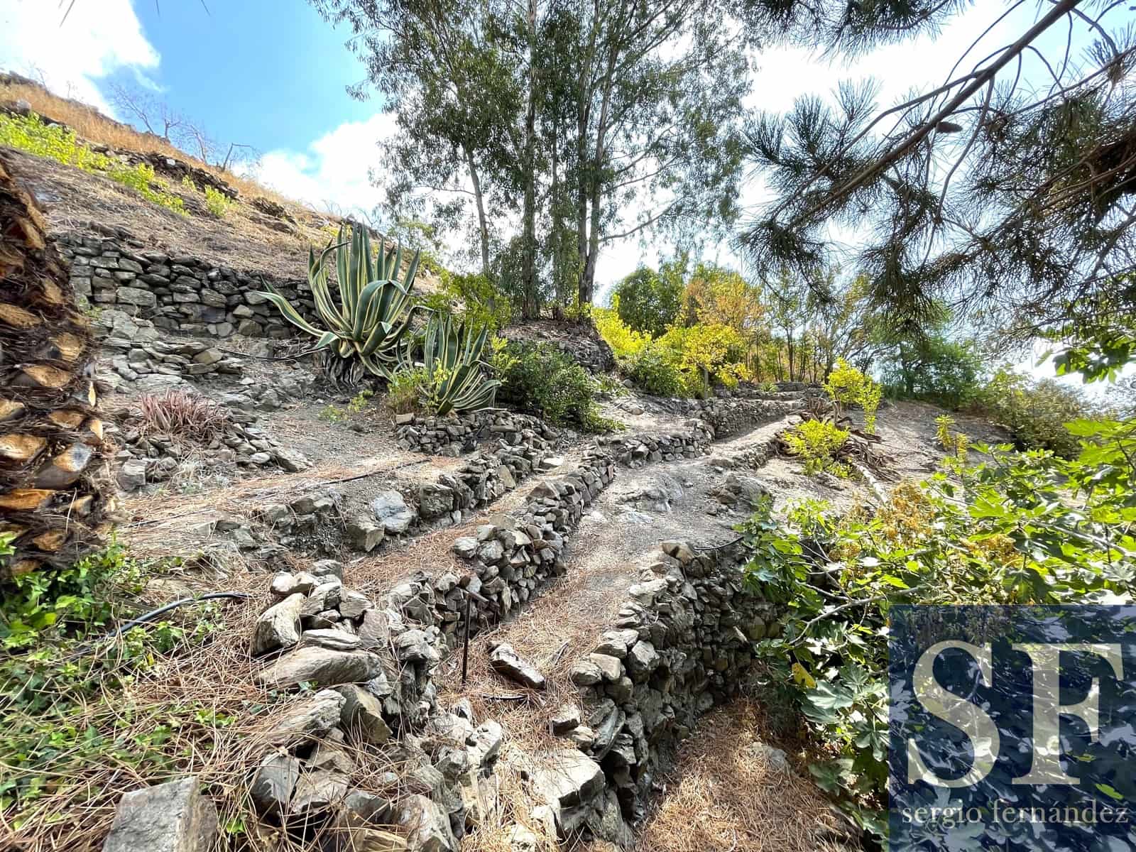 2 sovrum Villa till salu i Sayalonga med pool - 455 000 € (Ref: 9314622)