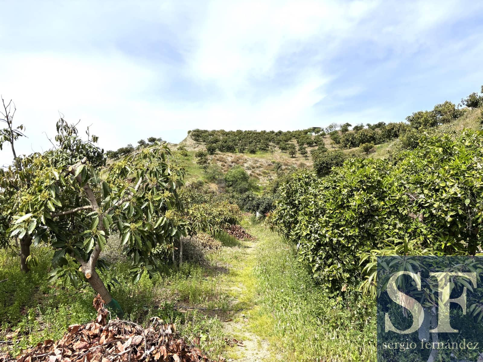 Villa/Maison à vendre à Velez-Malaga - 650 000 € (Ref: 9731217)