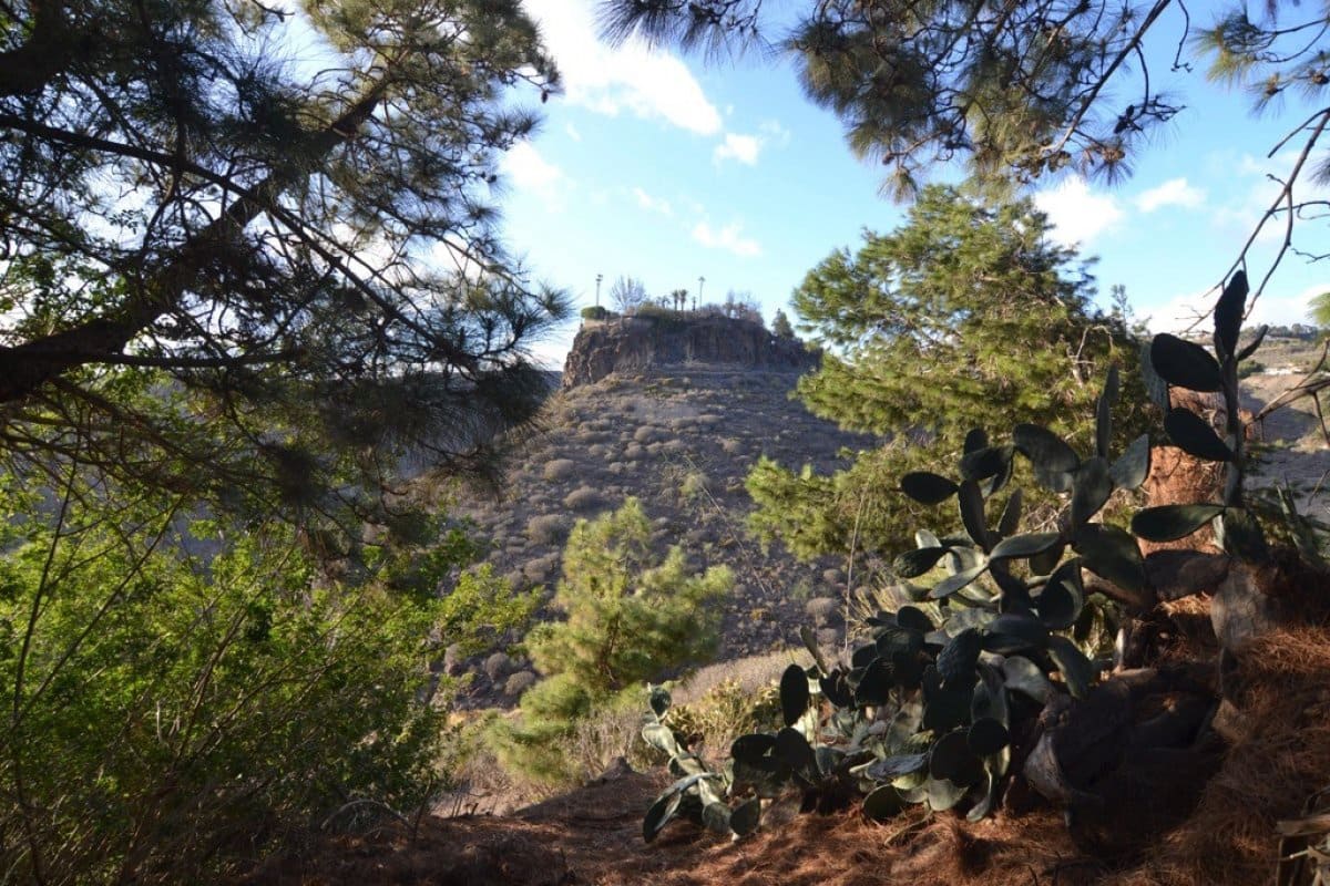 12 soverom Hotell til salgs i Monte Leon med svømmebasseng - € 6 900 000 (Ref: 5040481)