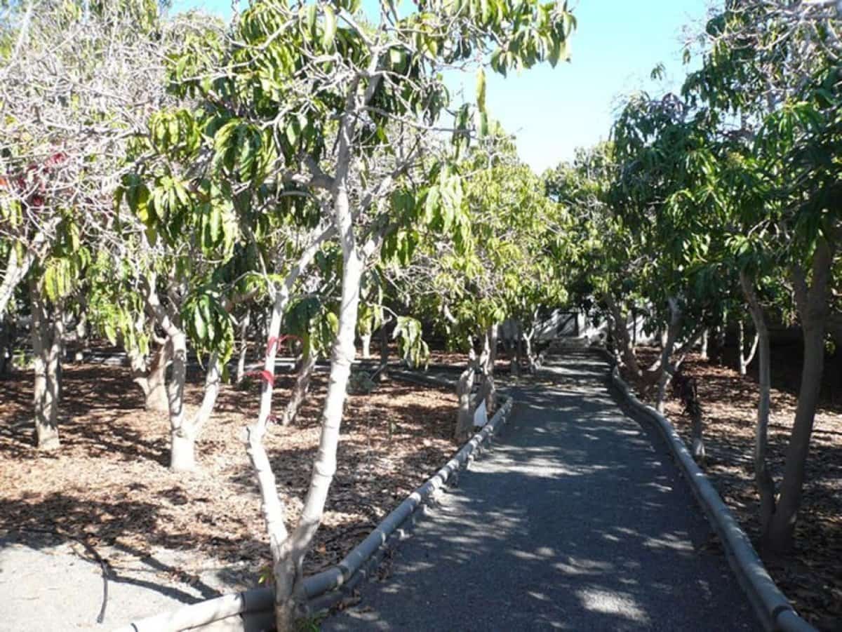13 soverom Hotell til salgs i El Salobre med svømmebasseng garasje - € 1 500 000 (Ref: 5040492)
