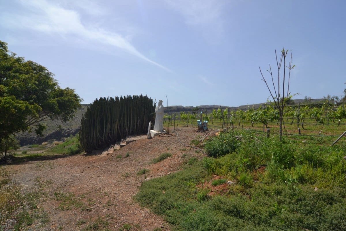 12 slaapkamer Villa te koop in San Bartolome de Tirajana met zwembad - € 6.900.000 (Ref: 6190193)