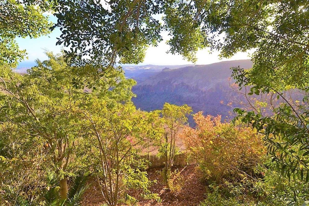 12 slaapkamer Villa te koop in San Bartolome de Tirajana met zwembad - € 6.900.000 (Ref: 6190193)