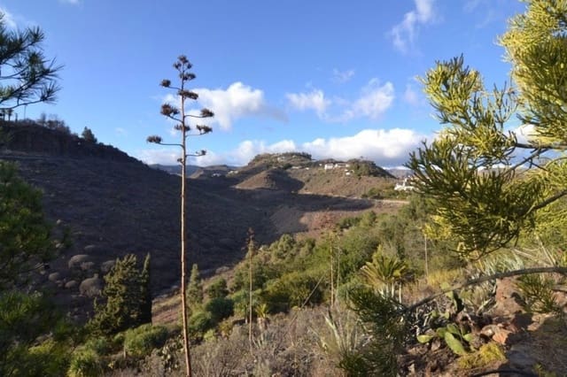 12 soverom Villa til salgs i San Bartolomé de Tirajana med svømmebasseng - € 6 900 000 (Ref: 6190193)